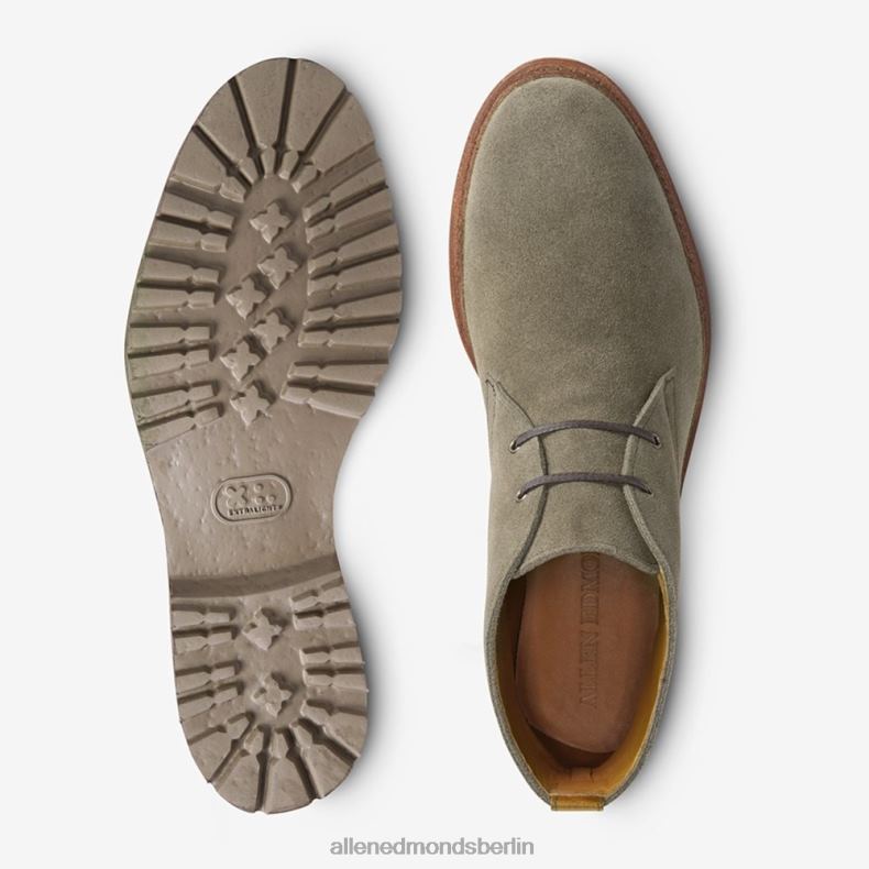 Allen Edmonds Nelken-Wildleder Männer Discovery Chukka-Stiefel 82J2T347