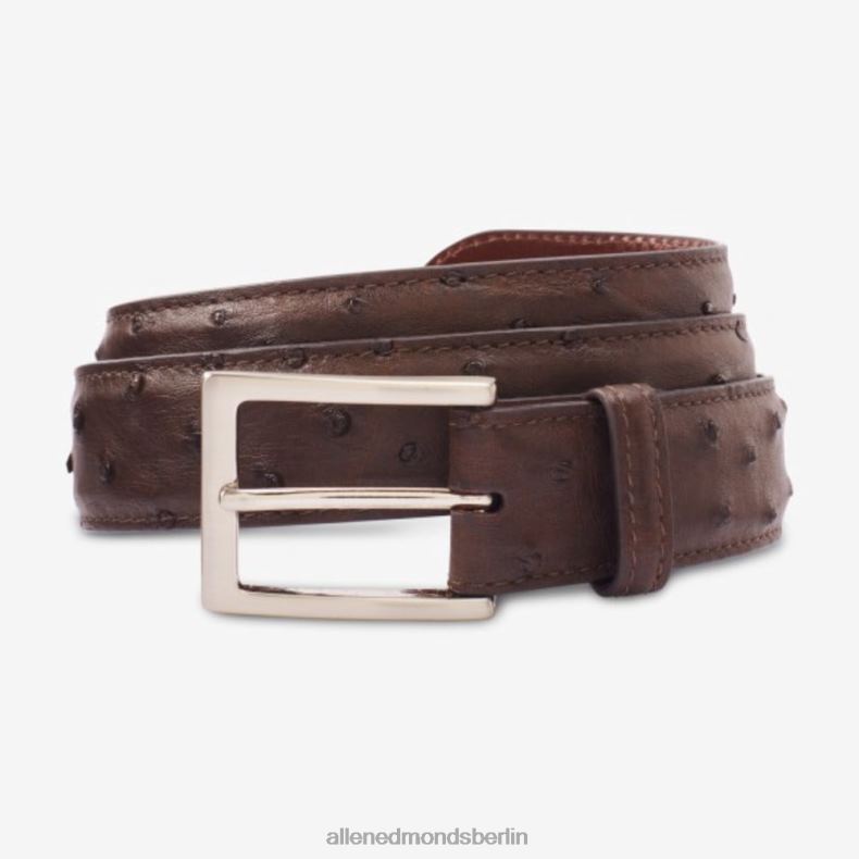 Allen Edmonds Espressobraun unisex Ostrich Avenue Kleidergürtel 82J2T285